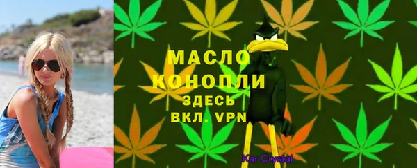 МДПВ Липки
