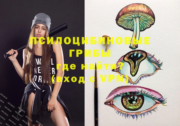 МДПВ Липки