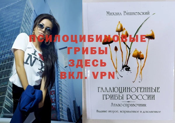 метамфетамин Лиски