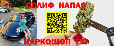 тгк Гай