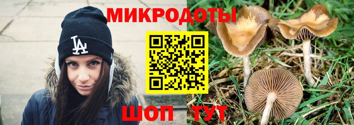 Карпинск  Галлюциногенные грибы мицелий  Псилоцибиновые грибы мицелий  Вход с VPN 