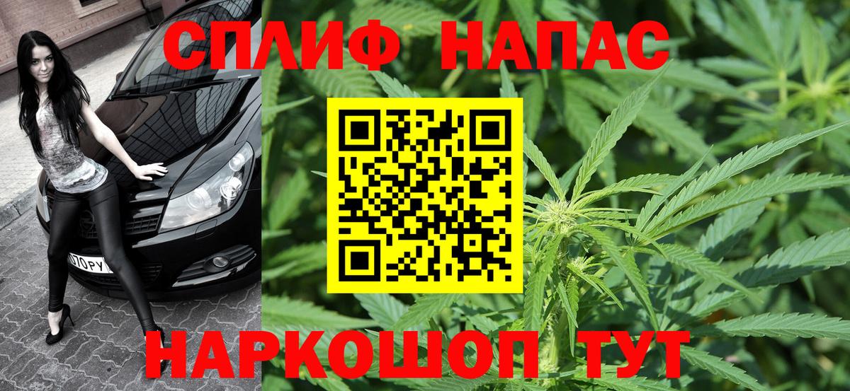 Карпинск  Конопля ГИДРОПОН  Вход с VPN  Конопля план 